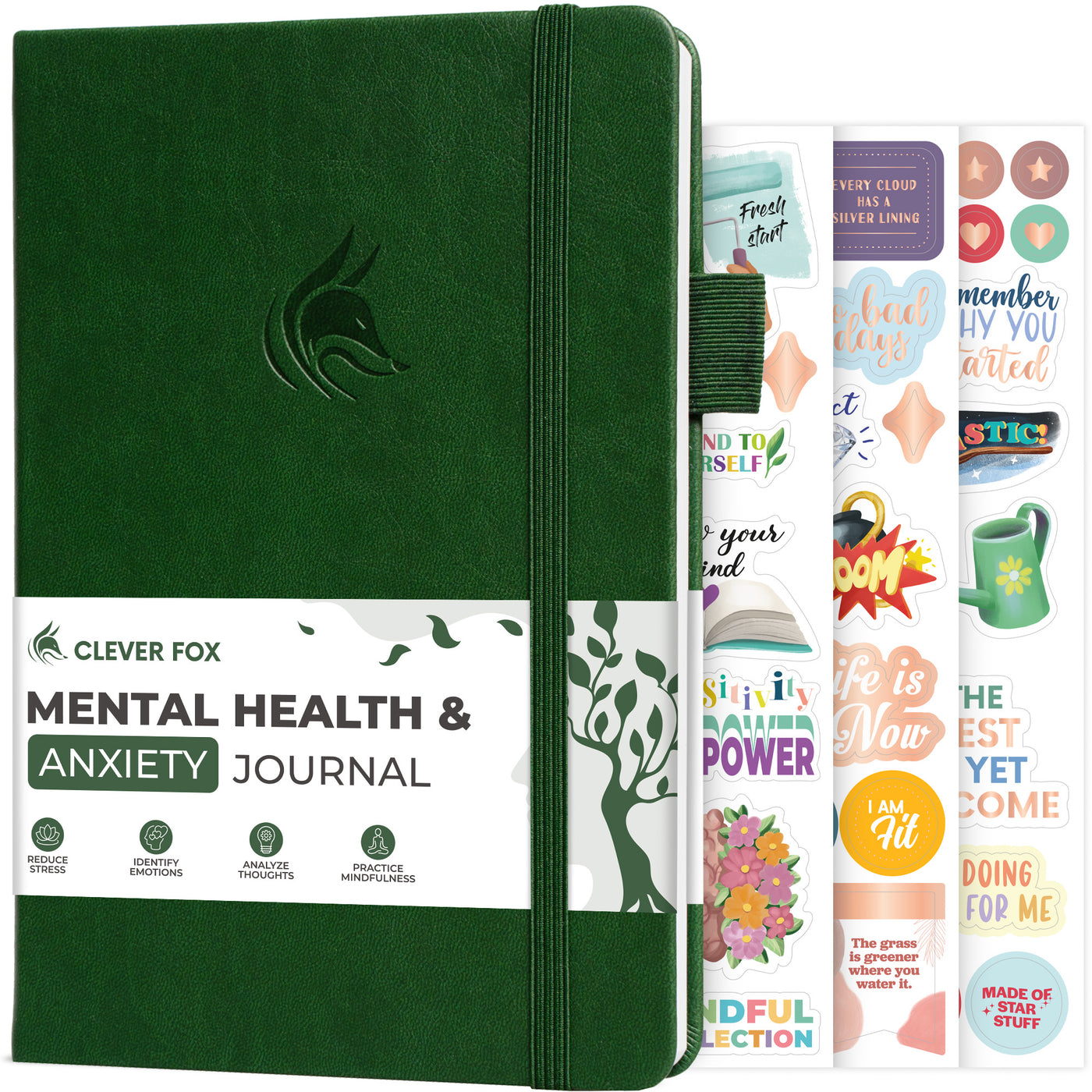 Mental Health & Anxiety Journal