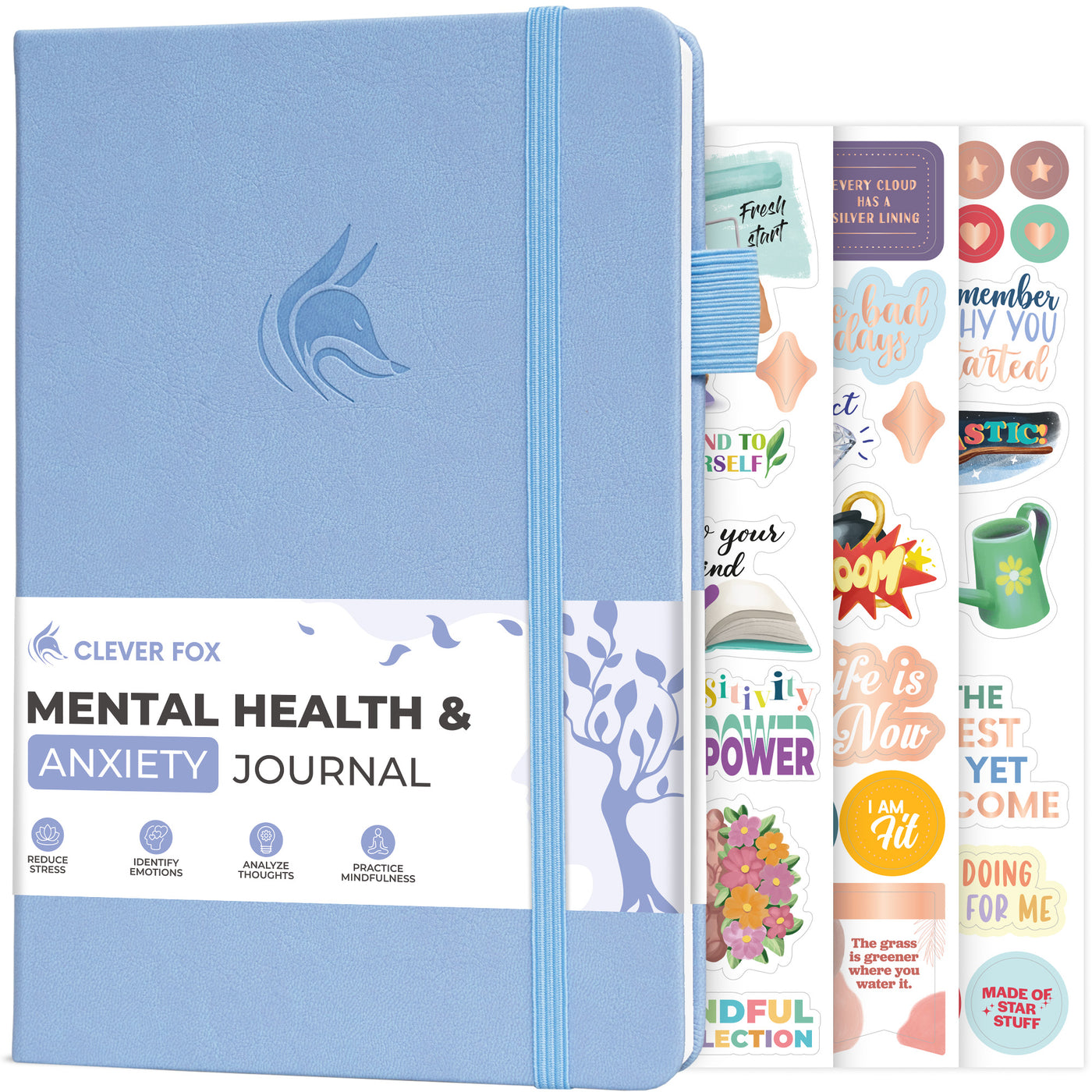 Mental Health & Anxiety Journal