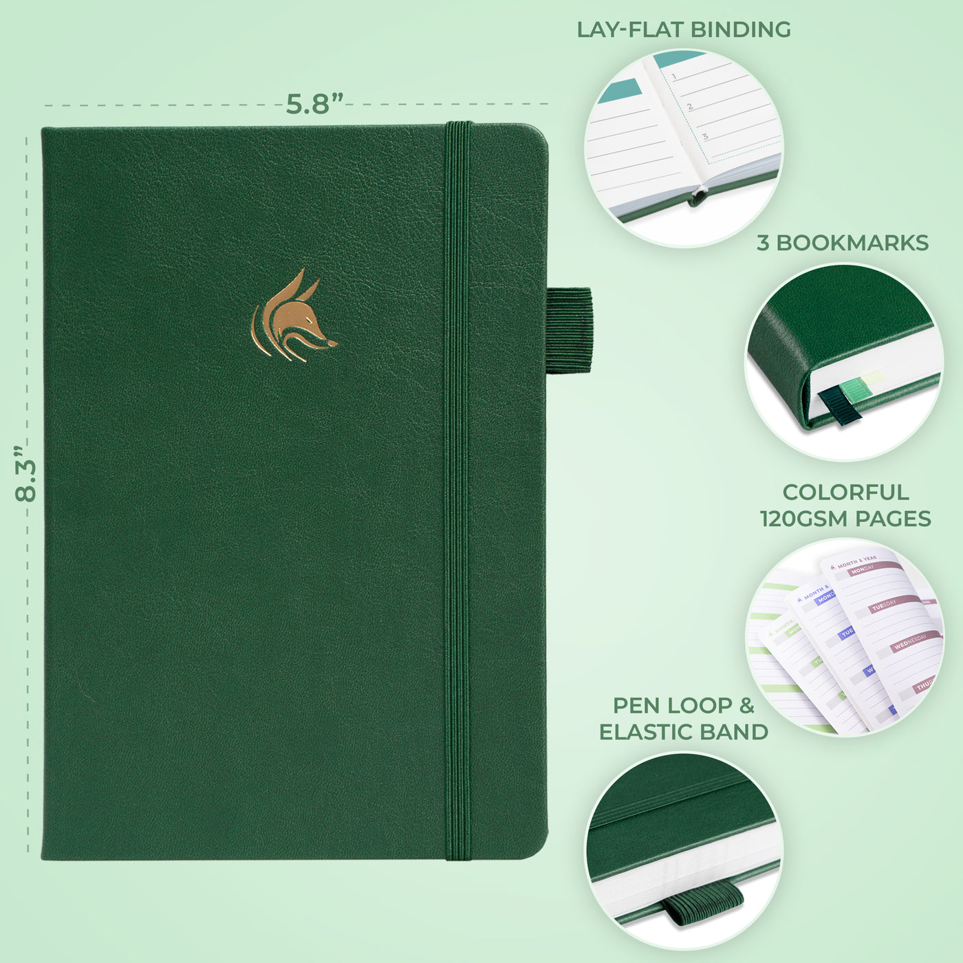 Dated Weekly 2nd Edition (A5) 2026