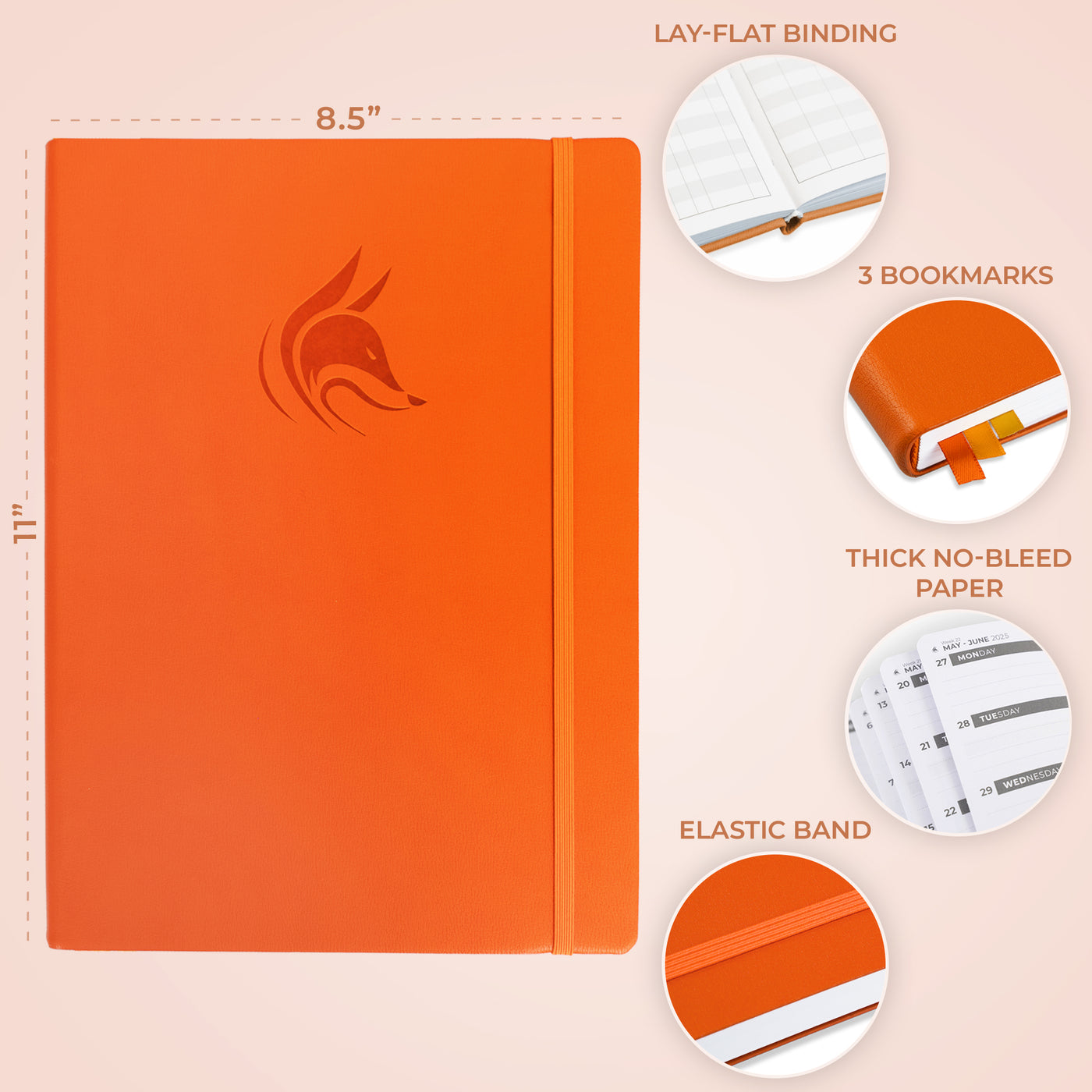 Dated Weekly Planner PRO 2026