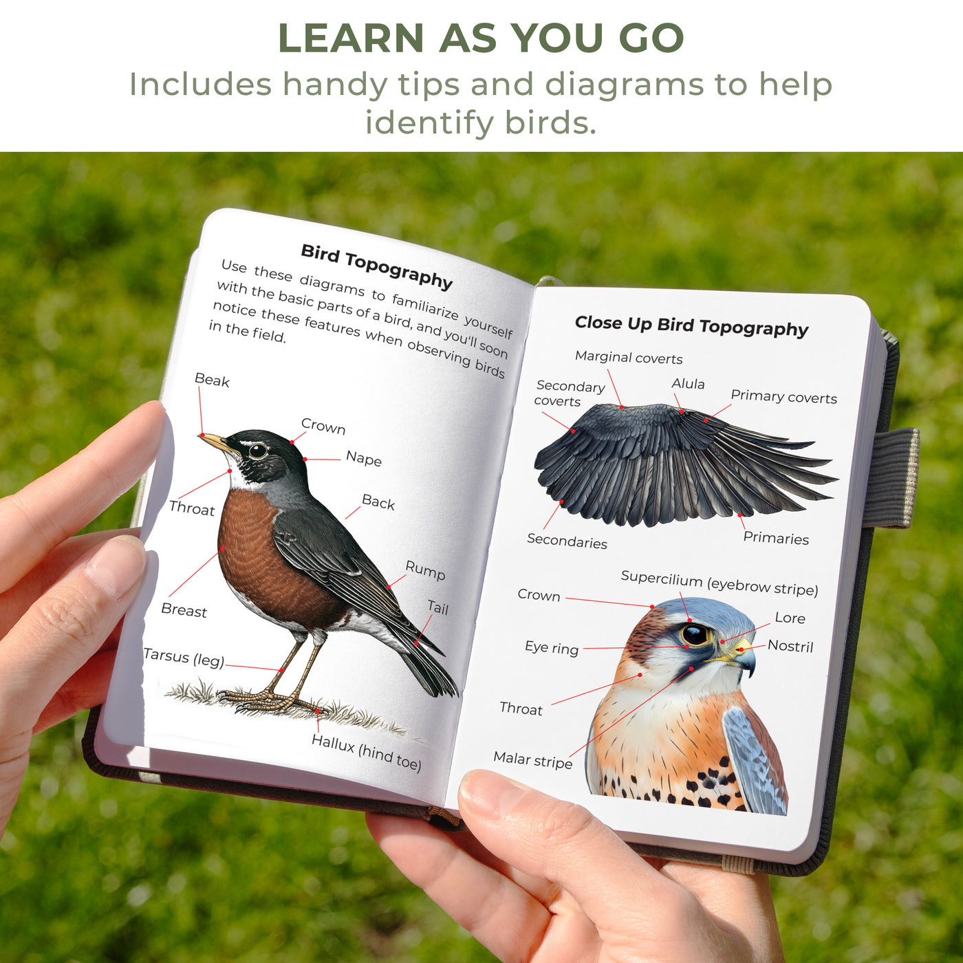 Birder's Journal Pocket – Bird Watcher Log Book