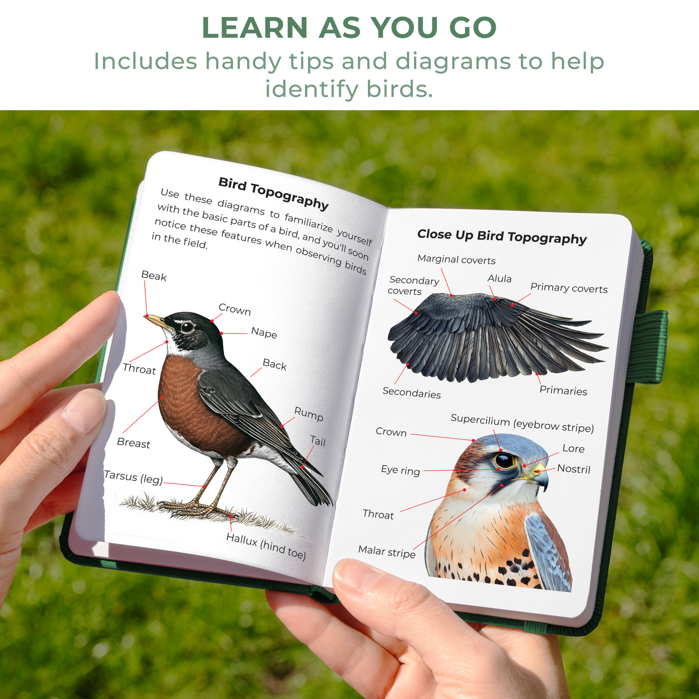 Birder's Journal Pocket – Bird Watcher Log Book