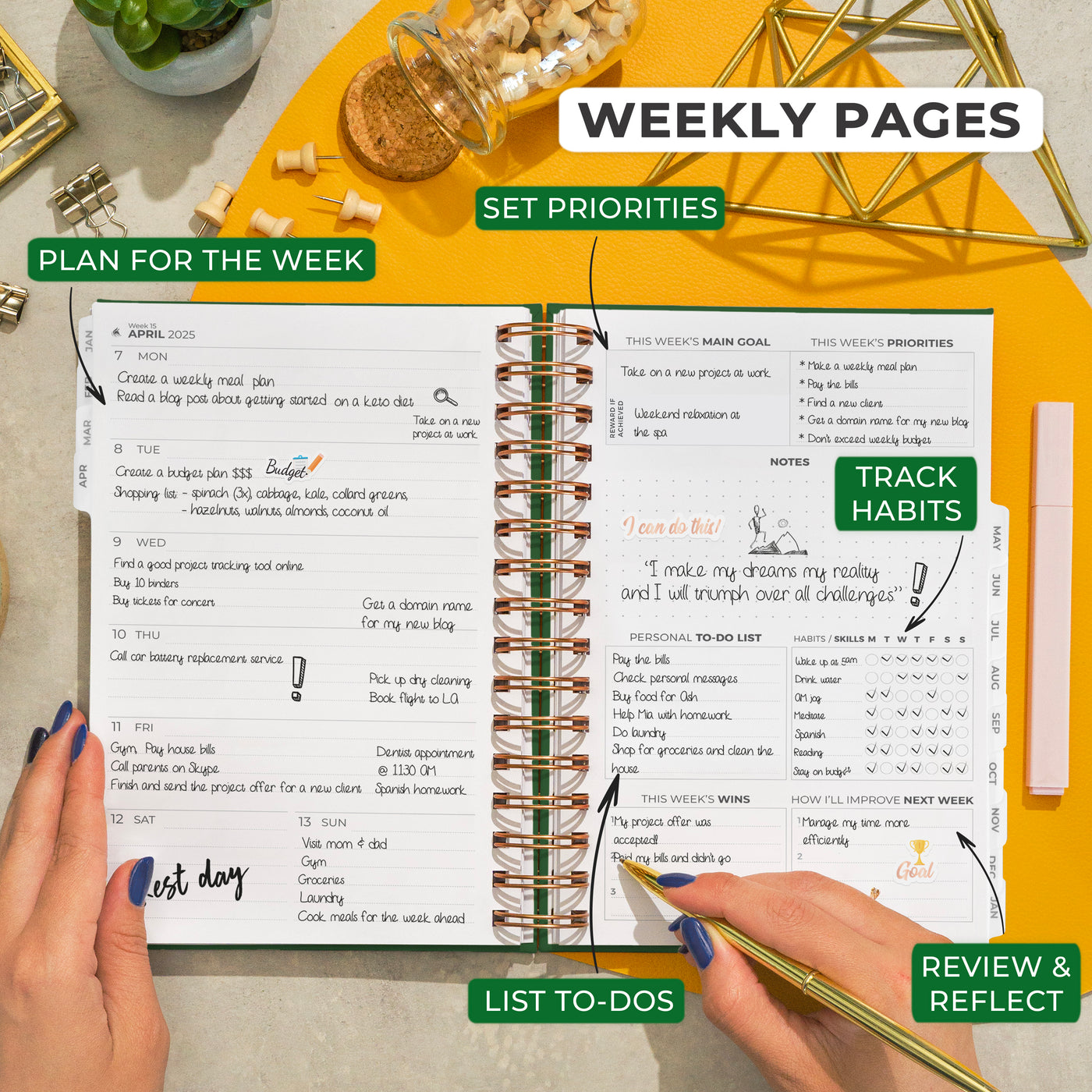 Dated Weekly Planner with Tabs (2025)