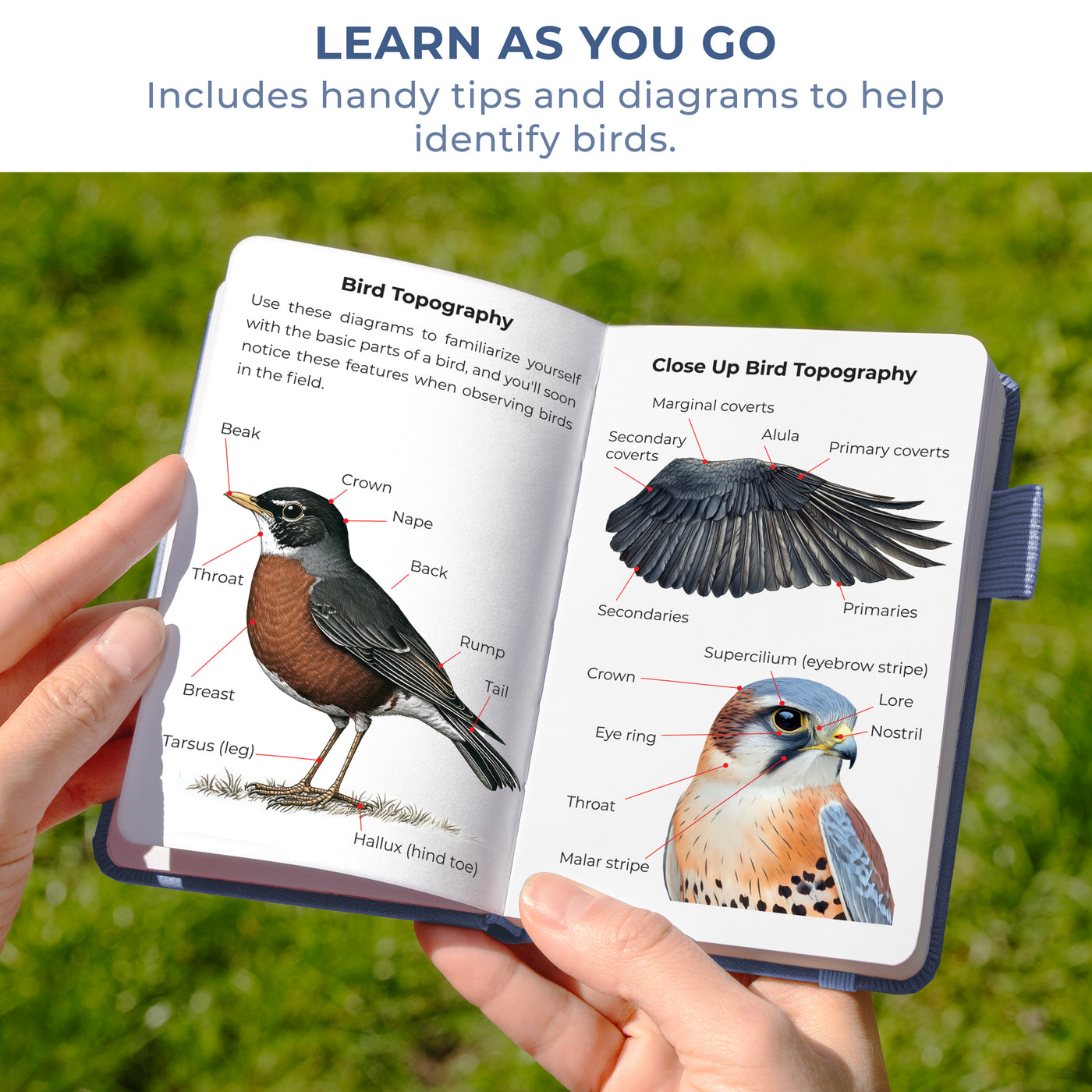 Birder's Journal Pocket – Bird Watcher Log Book