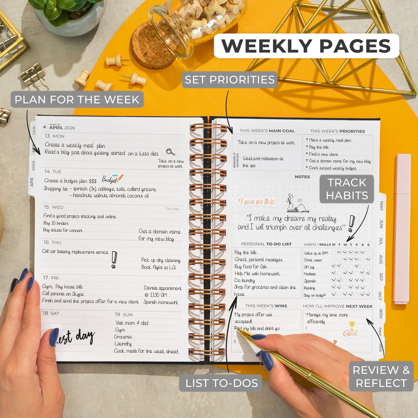 Dated Weekly Planner with Tabs (2026)