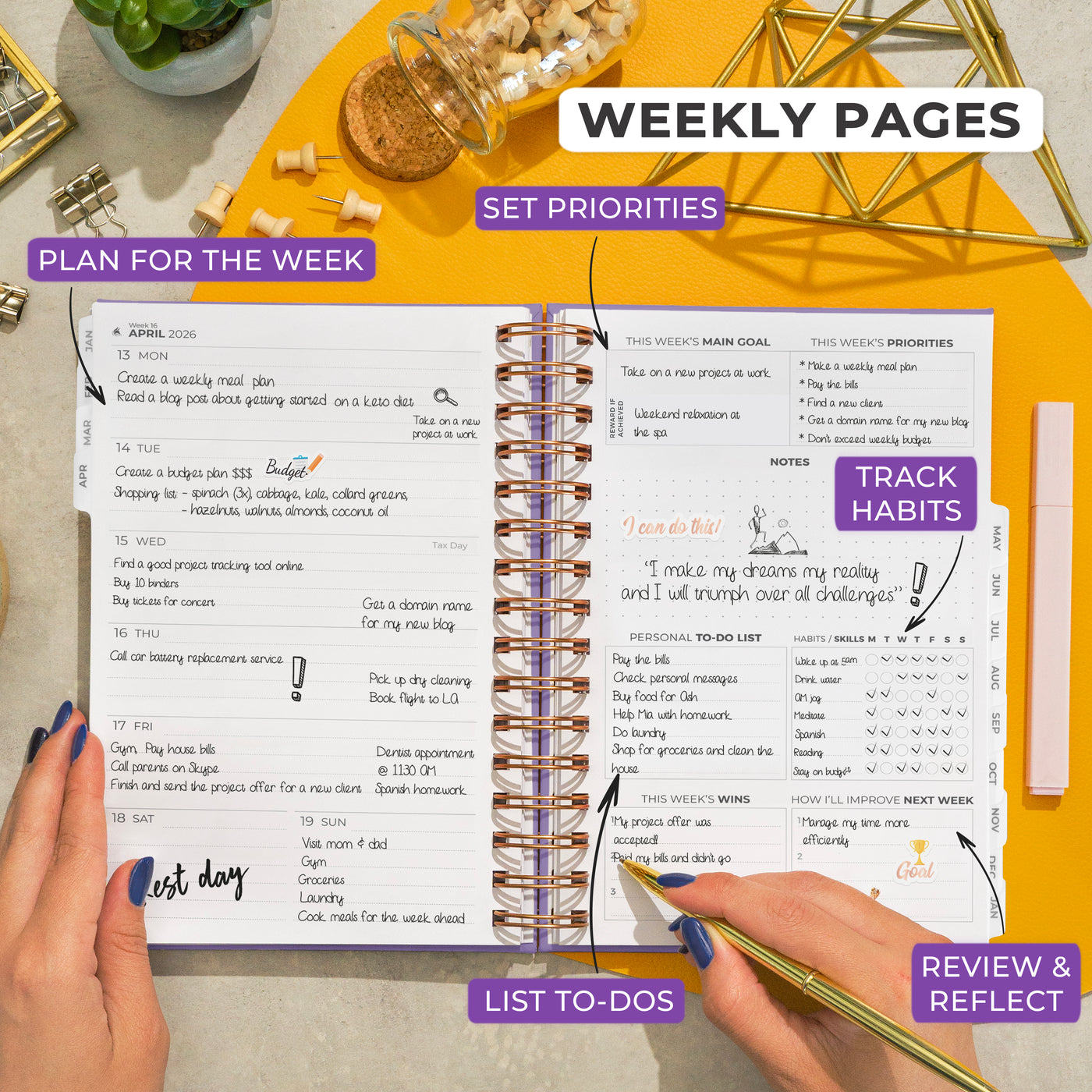 Dated Weekly Planner with Tabs (2026)