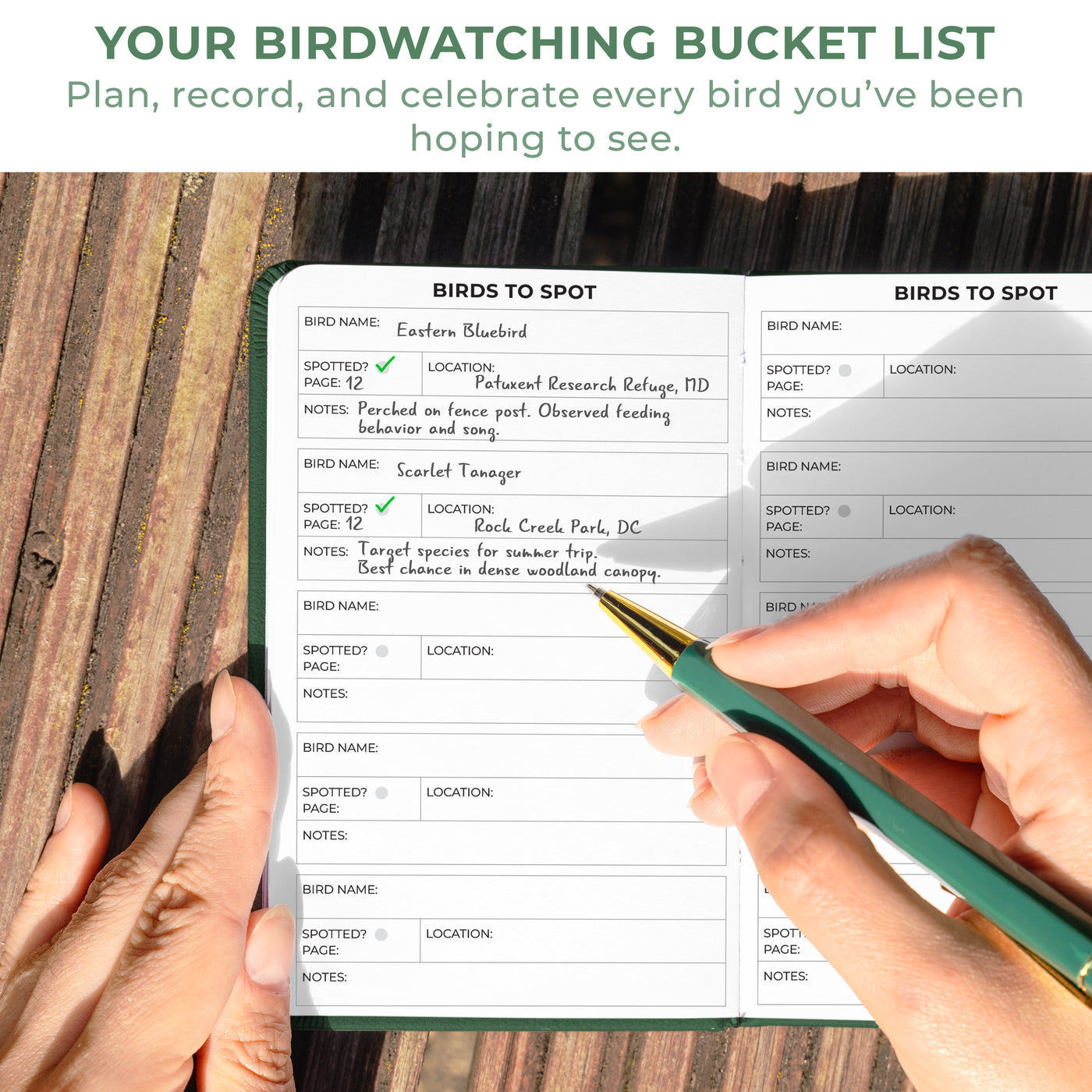 Birder's Journal Pocket – Bird Watcher Log Book