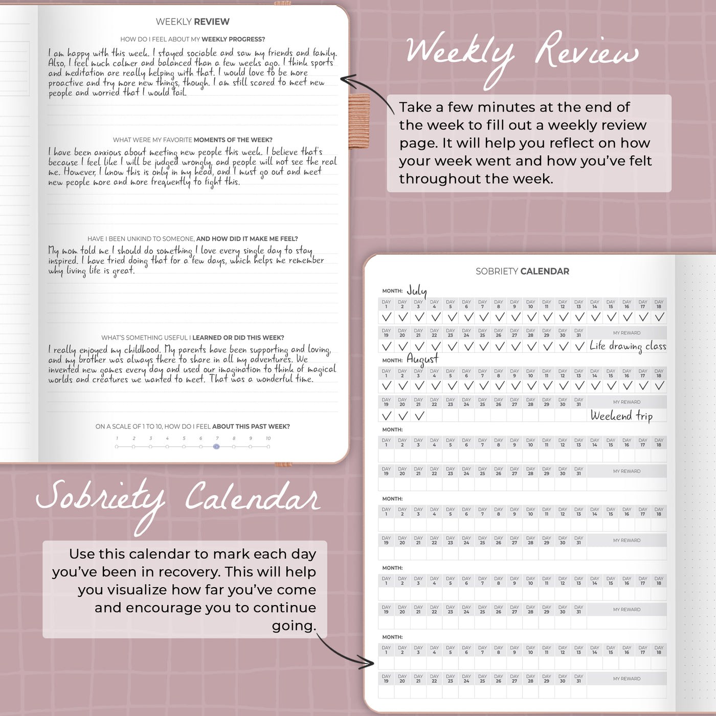 Addiction Recovery Journal Large