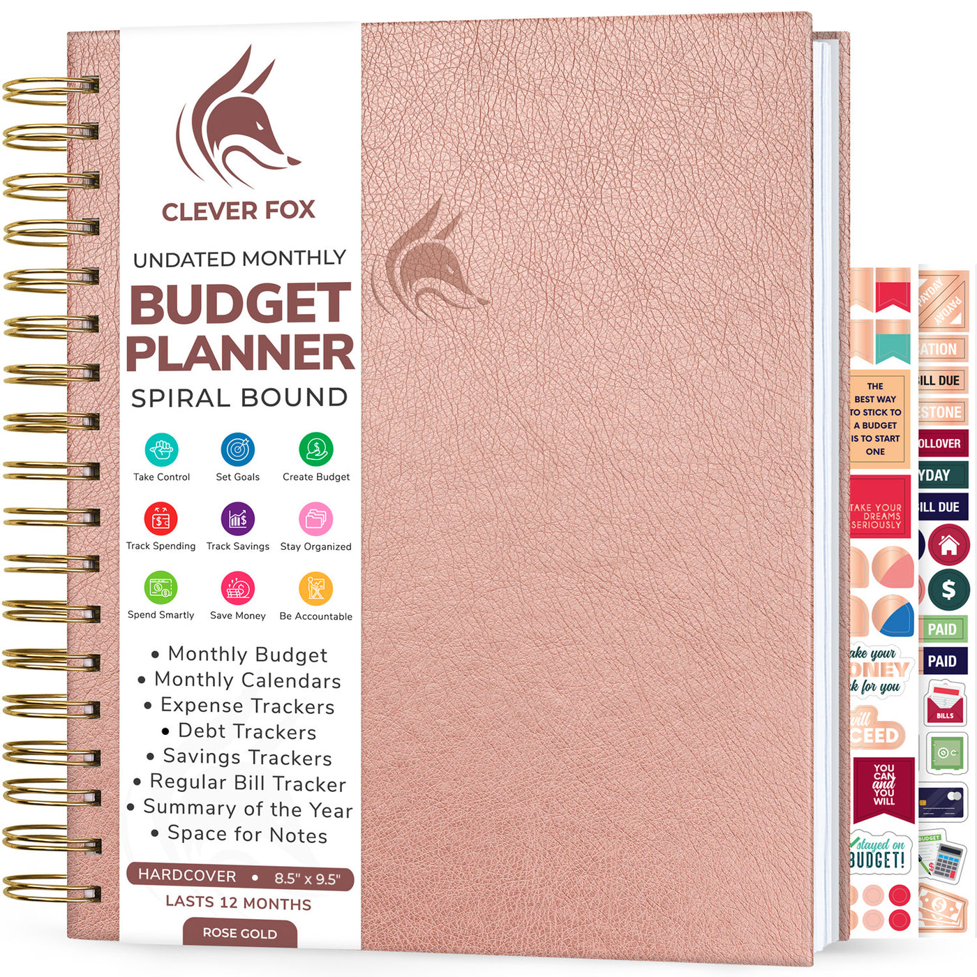 Financial Planner & Monthly Budget Planner and Monthly Bill Organizer - 12  Month Journey to Financial Freedom, Monthly Budget Book Planner