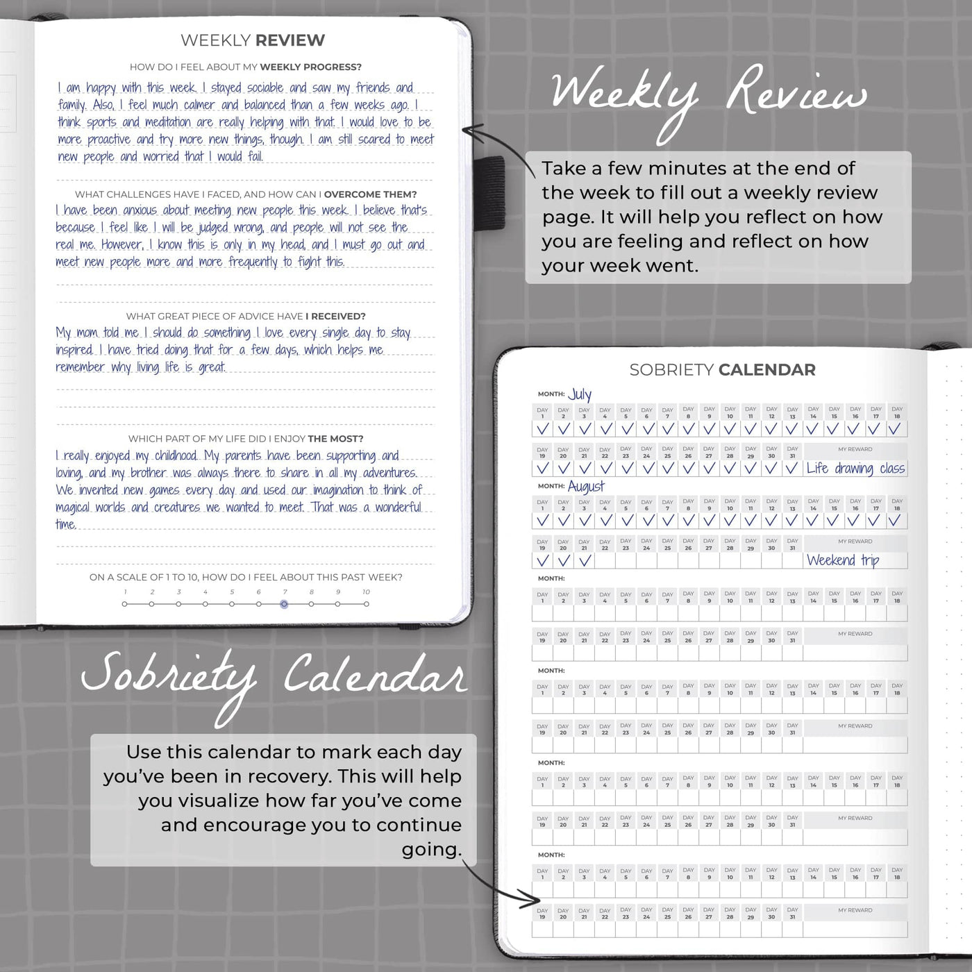 Addiction Recovery Journal – Clever Fox®