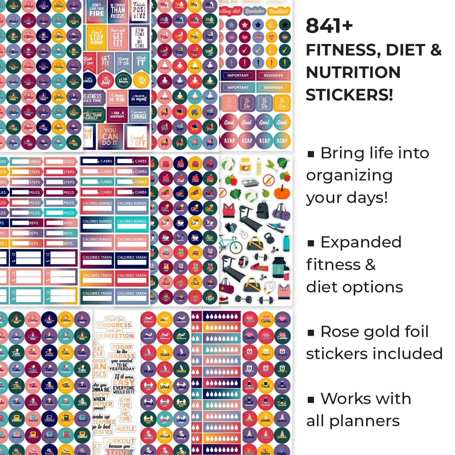 Workout, Fitness & Food Planner Stickers for Adults - Motivational,  Aesthetic and Inspirational Planner Stickers for Scrapbook, Food and  Fitness